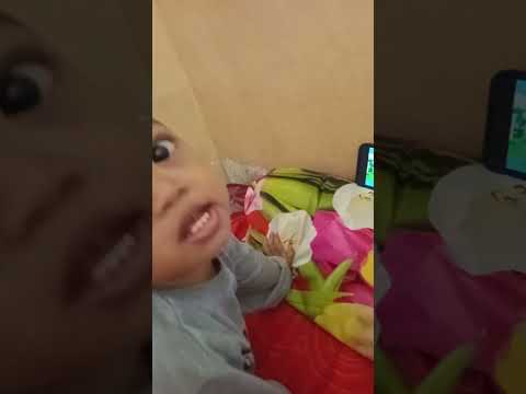 Adek Seln Hafal Alfabert