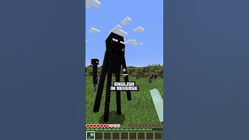 🌌👀Minecraft Enderman Language😲💬