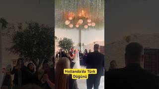 Hollandada Türk Düğünü Arel Orkestra