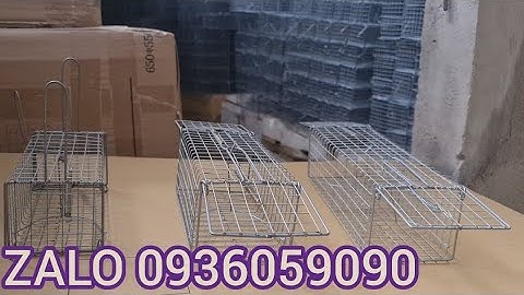 Lồng bẫy chuột đồng 2 cửa. Lồng bẫy chuột đường mòn 2 cửa. Lồng bẫy chuột đàn 2 cửa vào.