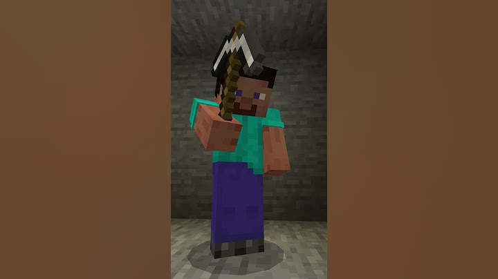 I... AM STEVE!