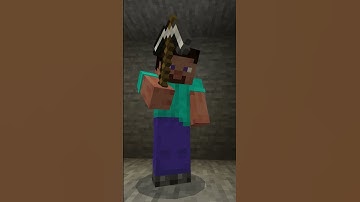 I... AM STEVE!