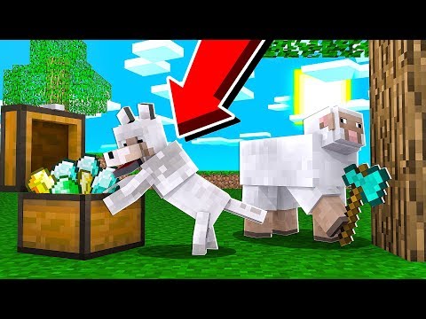 GIOCARE A MINECRAFT DA ANIMALI! *INCREDIBILE*