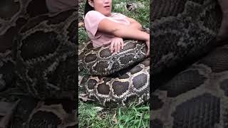 She Slept With Her Python Every Night Until Her Vet Uncovered The Deadly Truth