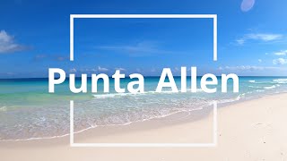 Punta Allen Mexico. It's totally worth it!