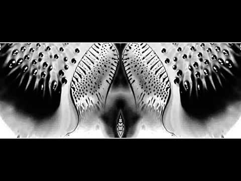 Dorian Gray Video