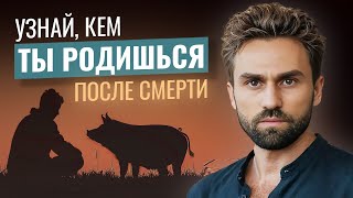 ЖИЗНЬ ПОСЛЕ СМЕРТИ, как НЕ попасть в АД и НЕ родиться ЖИВОТНЫМ