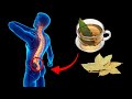 7 Unexpected Benefits Of Bay Leaf Tea
