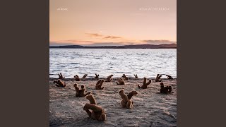 A Day at the Beach Part 2