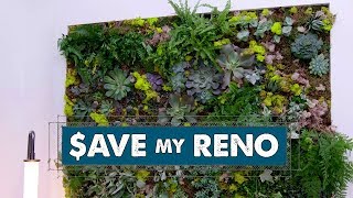 DIY Living Plant Wall | Save My Reno