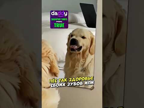 Хороший мальчик тренируется быть плохим 😂❤️