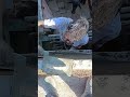 छत की फिनिशिंग का शानदार काम 🔥 Mason Finishing Work | Construction Skills #shorts