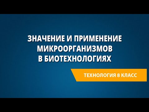 Значение и применение микроорганизмов в биотехнологияхАвтор: Ольхеева Инга Вячеславовна