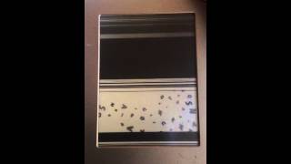 Pocketbook 612 pro defect
