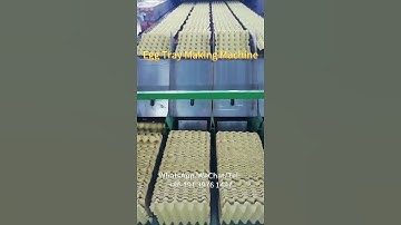 Top Egg Tray Making Machine Supplier | Great Production in Egg Tray Factory #eggtraymakingmachine