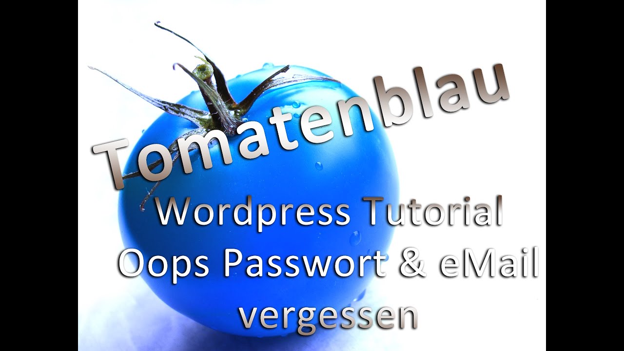 wordpress-tutorial-passwort-email-vergessen-youtube