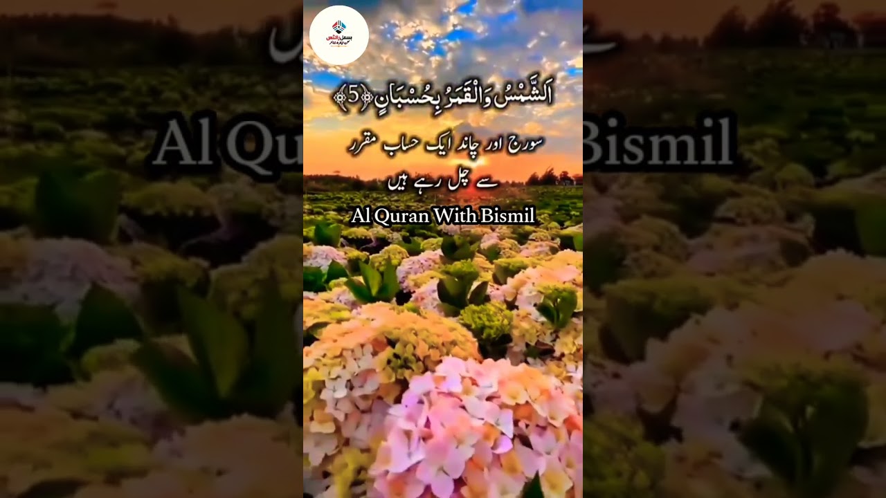 Surah Rehman | Best Voice Quran Recitation | Al Quran With Bismil | #surahrahman #alquranwithbismil