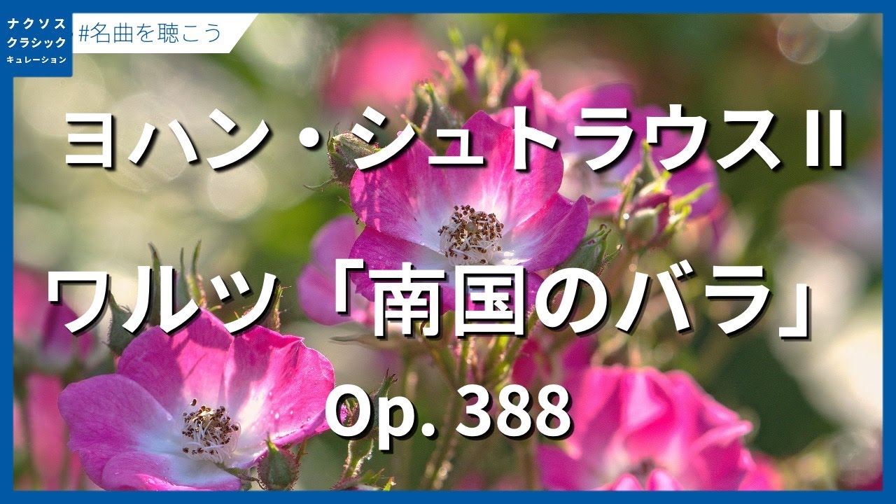 ヨハン・シュトラウスII世：ワルツ「南国のバラ」 Op. 388／Strauss II