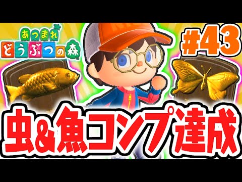コンプ特典で何が貰えるの!?魚と虫を全種類集めよう!!気ままに実況Part43【あつまれどうぶつの森】