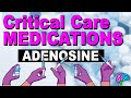 Adenosine - Critical Care Medications