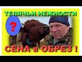 Чуть не пропали  рулоны сена на сеновале будни ЛПХ Бажениты