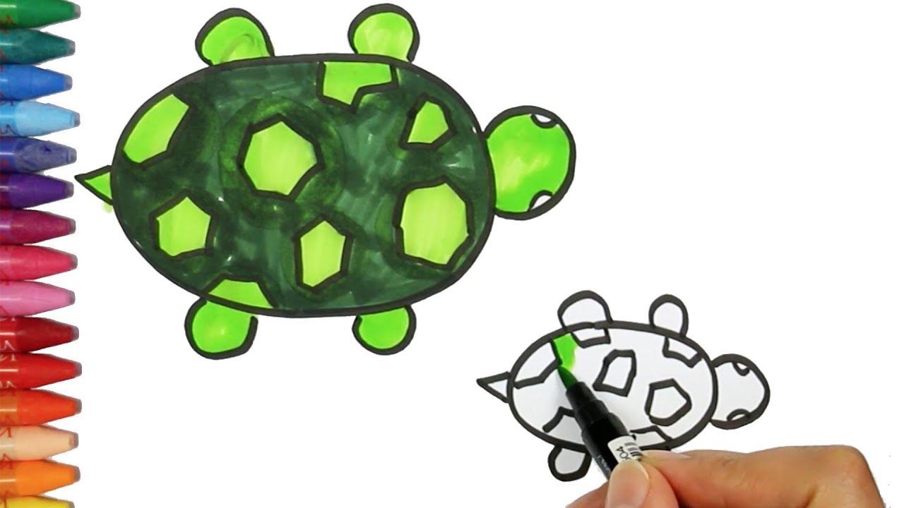 e disegnare una tartaruga