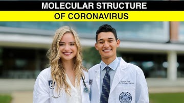 COVID-19: Molecular Structure of Coronavirus