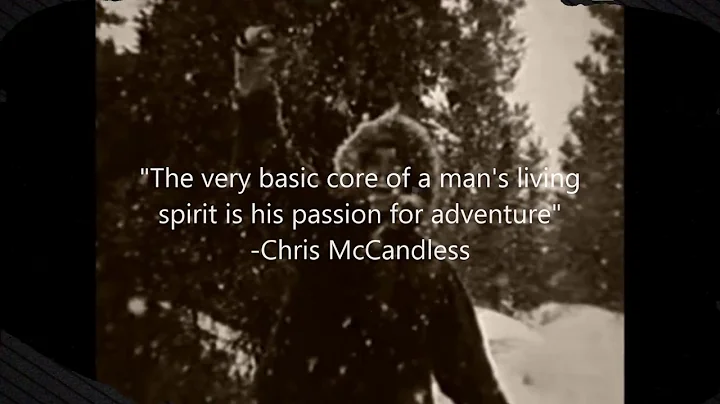 into the wild marla anderson