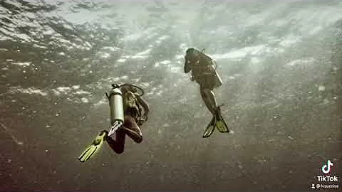 Scuba Dive Philippine
