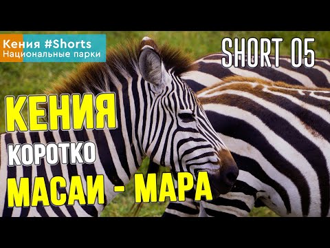 Кения туры 🌴 Парк Масаи-Мара 🐘