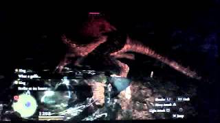 Dragons Dogma Devilfire Grove Dragon