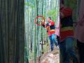 Magic behind bamboo stalk‼️😱