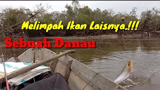 Kerajaan Lais || danau lais || ikan lais Kalimantan