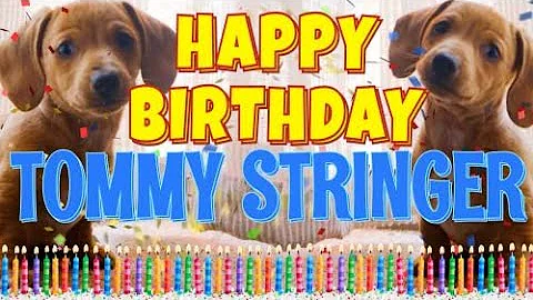 Happy Birthday Tommy Stringer! ( Funny Talking Dog...