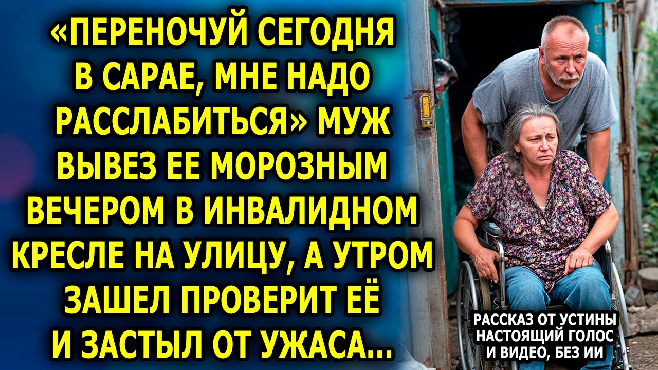 Морозная Ночь В Сарае Стала Началом Её Новой Жизни