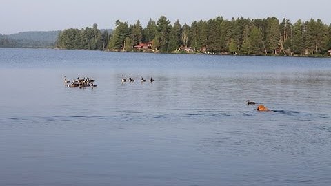 왕초보를 위한 JavaScript 강좌 3 Object 를 만드는 초 간단 방법