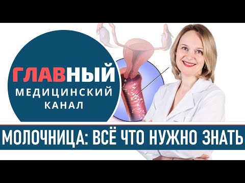 Молочница у женщин: симптомы, причины и лечение молочницы. Урогенитальный кандидоз