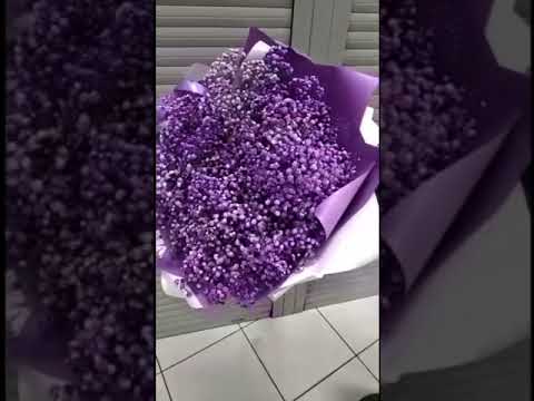 Букет из гипсофилы