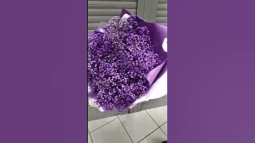 Букет из гипсофилы