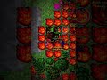 🔥 BRAVORA CHEGOU! WWW.EXORDION.COM A base clássica do Tibia 7.4 com conteúdo custom e mecânicas