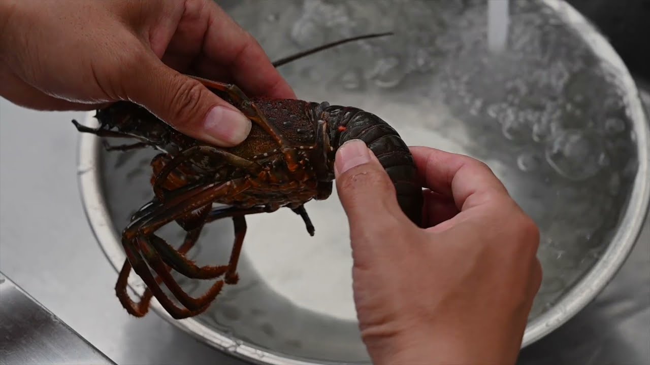 今が旬 紀北町で伊勢海老が食べたい きほくのたび