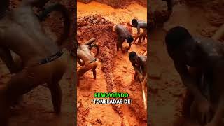 ⛏️ Minas de Sangre: Oro, Diamantes y Peligro 💎 #diamantes #oro #africa #peligro #new #funny #shorts