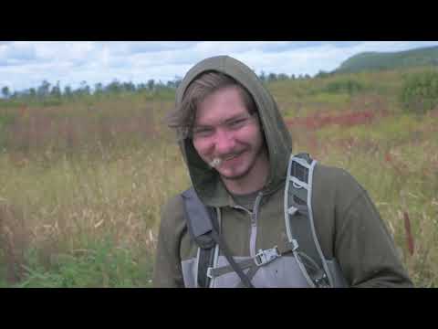 Wild Rice in Vermont