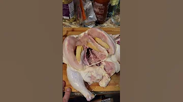 Found Cancer In My Chicken Meat Shorts 