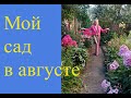 Мой сад: приглашаю в гости!