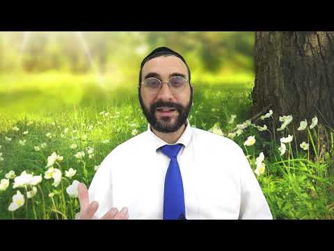 לך לך - בניין אישיות