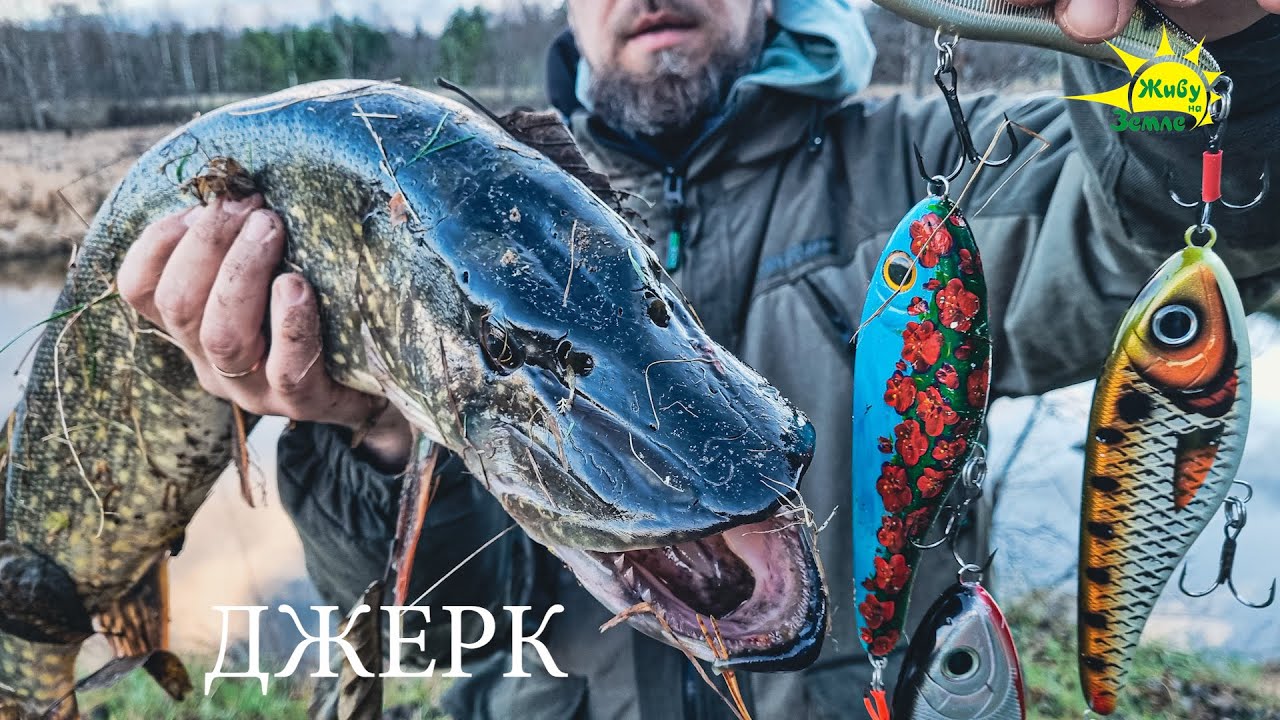 Стоит ли пробовать ловить на Джерк? Поймаем рыбу вместе! Проводка джерков, окраска, вес.