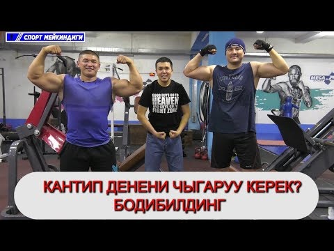 Video: Бокска муштумду кантип коюуга болот