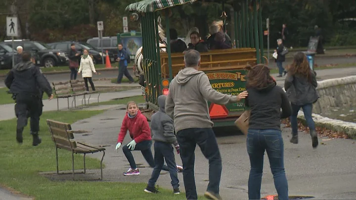 Stanley Park horses spooked by car horn take touri...
