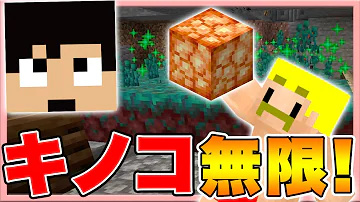 マイクラjava版 キノコ無限に 菌糸ブロック の使い方 入手方法 35 じゃじゃクラ Mp3 マイクラjava版 キノコ無限に 菌糸ブロック の使い方 入手方法 35 じゃじゃクラ Mp3